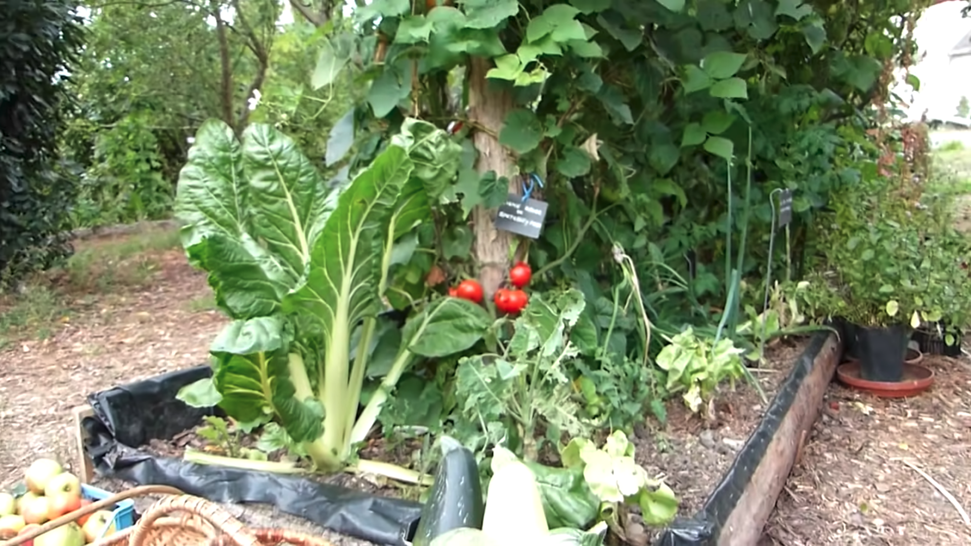7 cles jardin permaculture