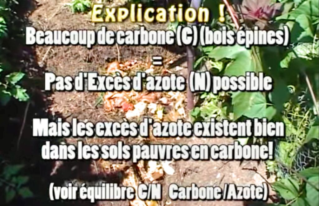 jardin-permaculture-philip-forrer-conseils-pratiques-2