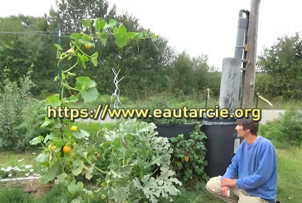 potager-permaculture-biofiltre-fruitier-eaux-usees-1
