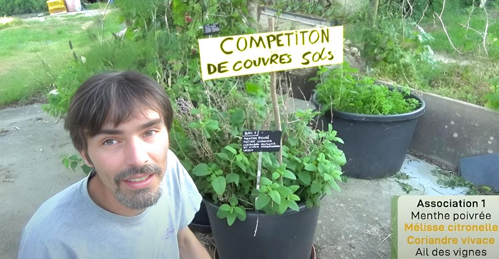 potager-permaculture-evolution-couvre-sol-4-ans-2