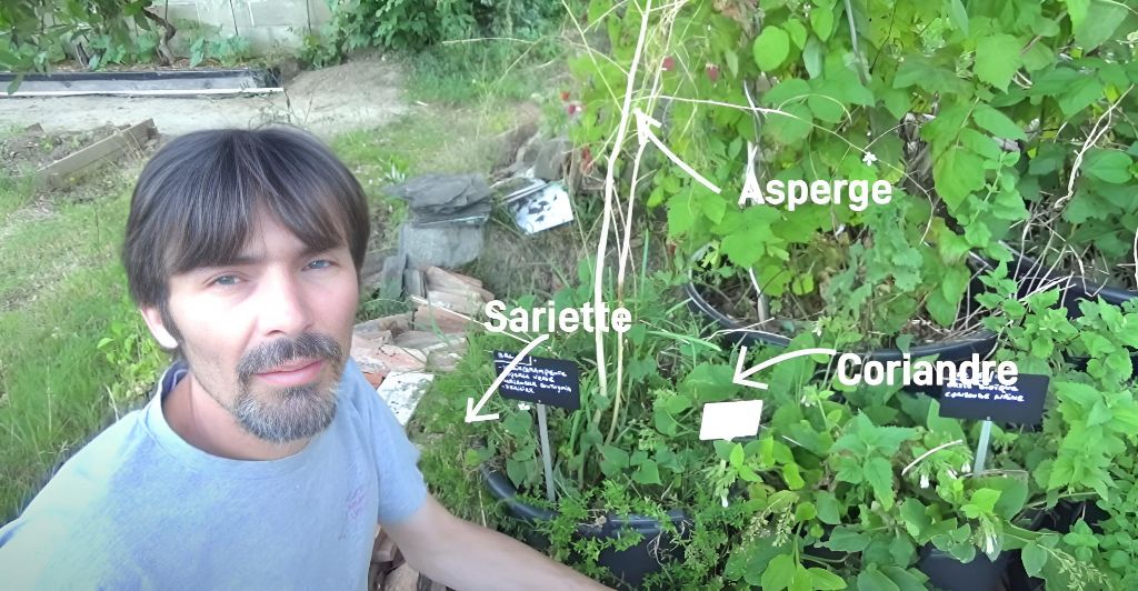 potager-permaculture-evolution-couvre-sol-4-ans-4
