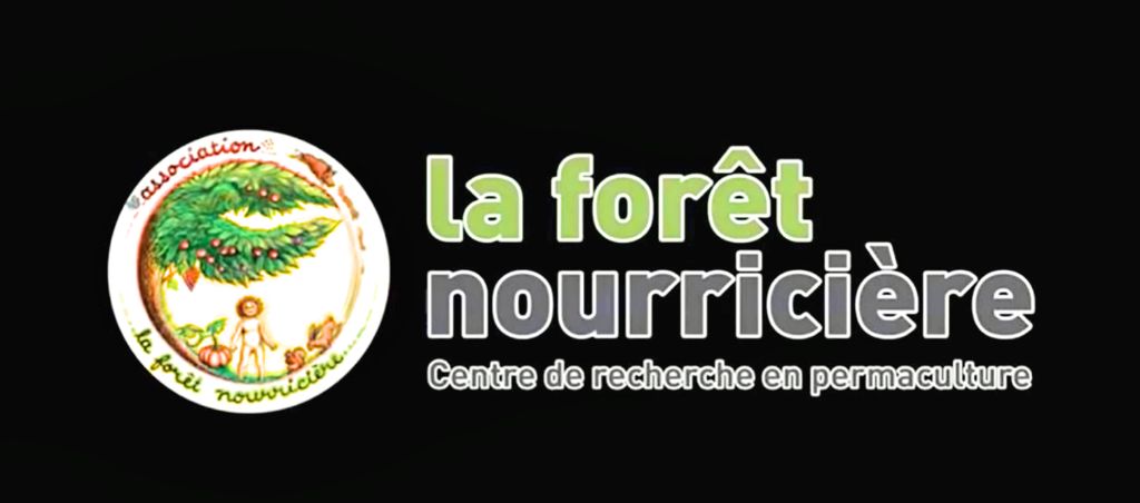potager-permaculture-franck-nathie-foret-nourriciere-1