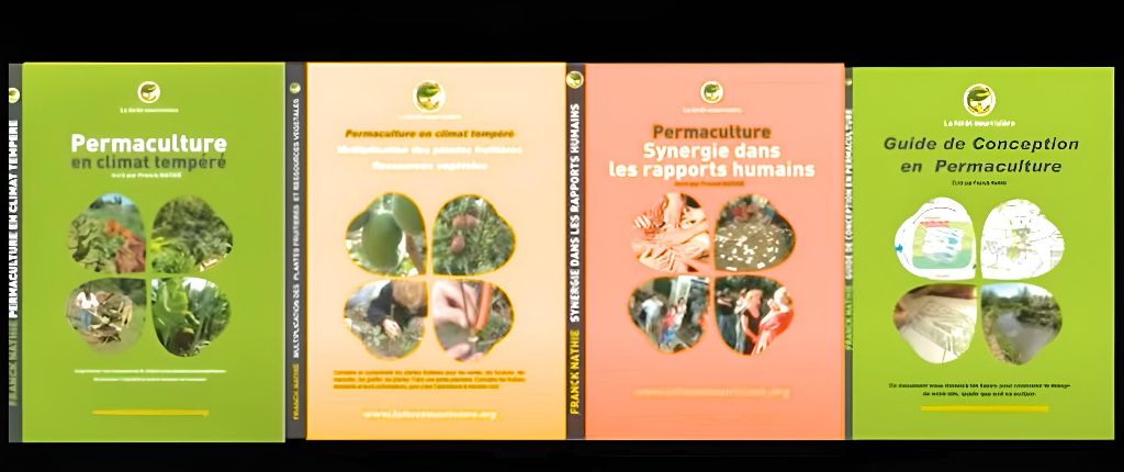 potager-permaculture-franck-nathie-foret-nourriciere-3