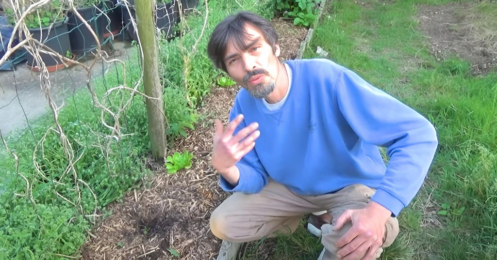 potager-permaculture-resilience-ecosystemes-3