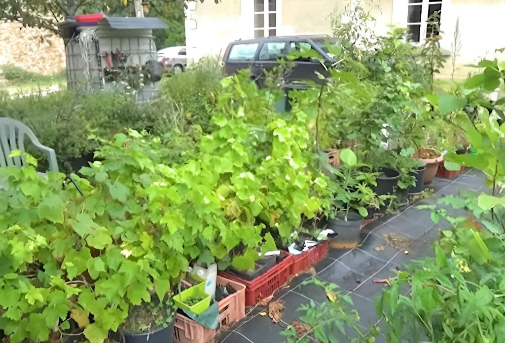 potager-permaculture-visite-pepiniere-2018-1